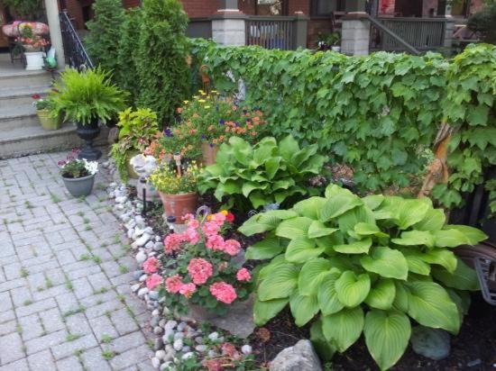 A Hidden Gem Bed And Breakfast Windsor Exterior photo